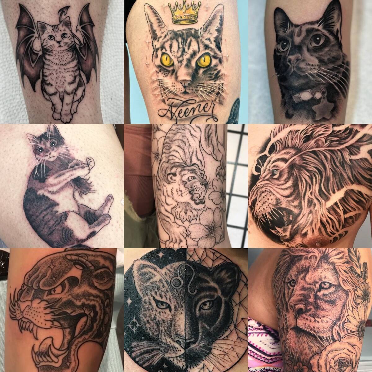 Cat Tattoo Artist Vancouver BC