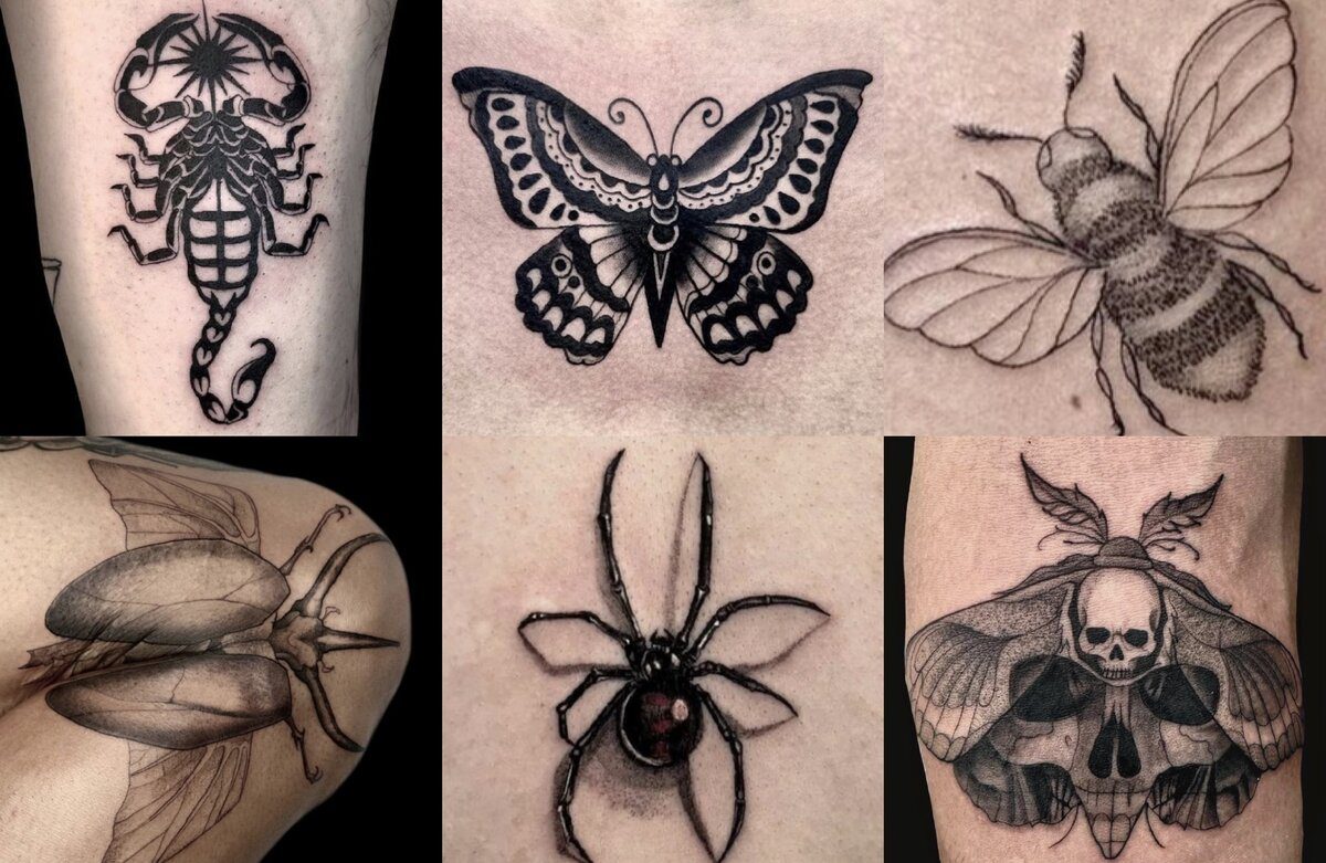 Insect Tattoo Ideas Vancouver BC